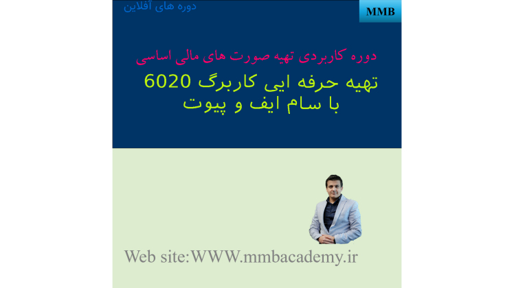 تهیه کاربرگ 6020( کاربرگ صورت مالی) به صورت حرفه ایی و سریع